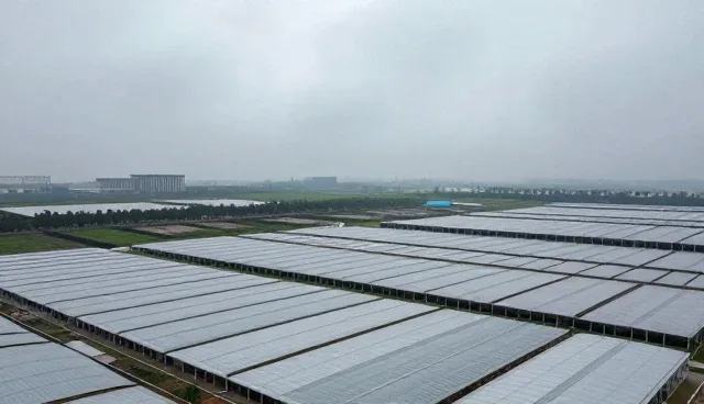产品设计中的适用条件与选型关注点